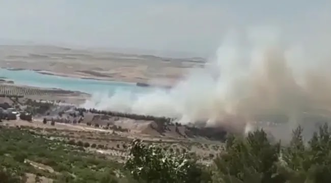Bozova’da orman yangını!