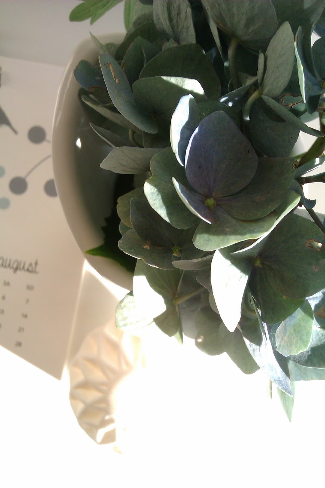 Frau Frieda Der August Ist Blau Mit Grunen Sprenkeln