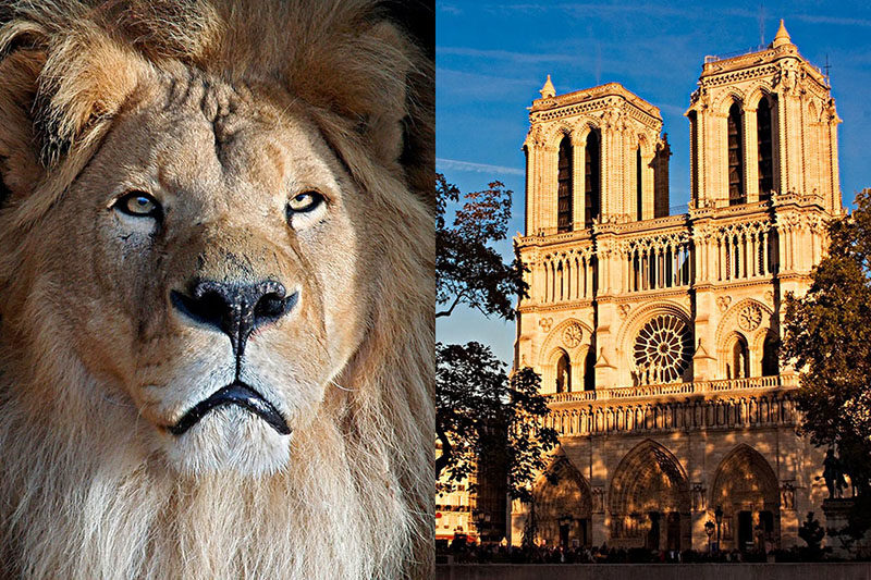 Диагонали в композиции. Заполнение кадра. Эдвин вестхофф. Заполнение кадра примеры. Композиция для фотографов.