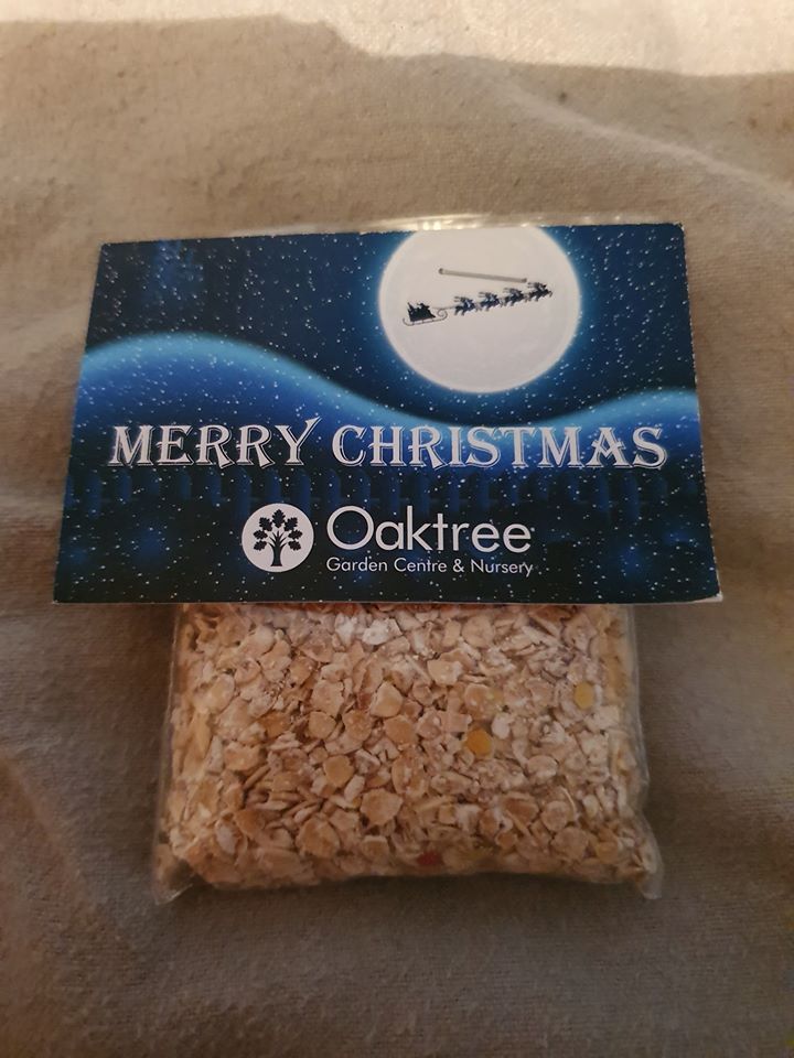 Visiting Santa At Oaktree Garden Centre. Unique Young Mum