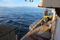 CTD deck deployment area, photo by Caitlin Smoot
