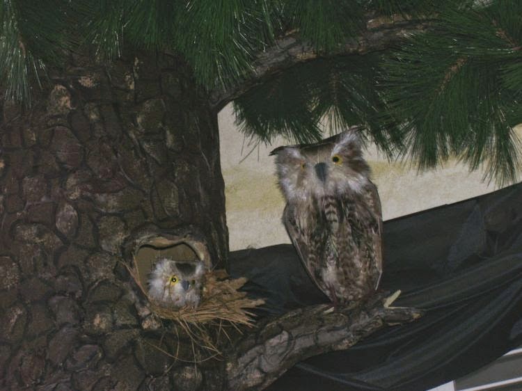 Luxury Cat Trees for Spoiled Rotten Kitties Realistic Look Cat Tree