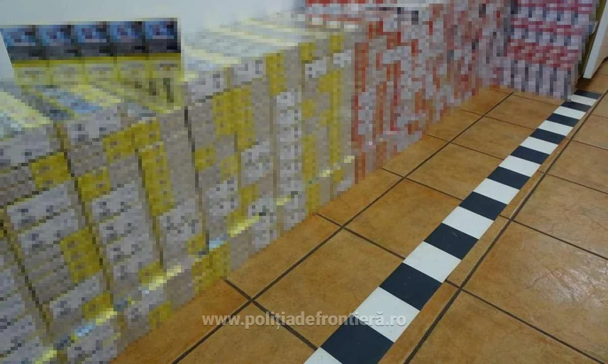 Peste 4.700 pachete cu țigări, ascunse în cutii din carton într-un autocamion, descoperite la P.T.F. Calafat