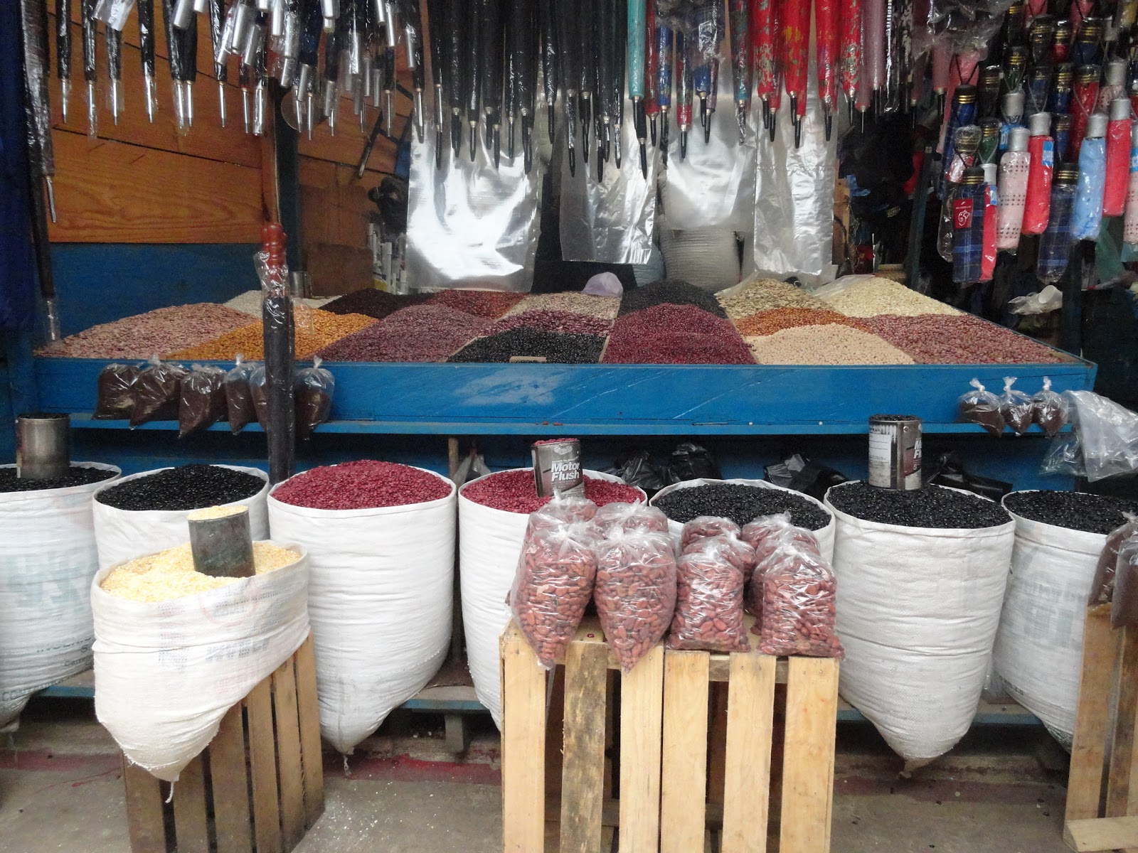 Libertad, San Jose, Uruguay LLegue!!!!!: 24/6/12 - 1/7/12