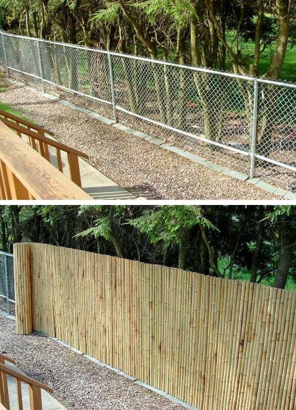 Bamboo Grove Photo Bamboo Fence Rolls un-ejemplo-de-amparo-indirecto-image-to-u