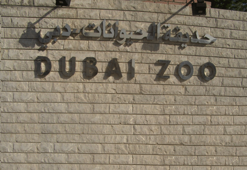 Zoo News Digest So you want to work in the new Dubai Safari Zoo?