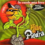 flor de piedra discografia