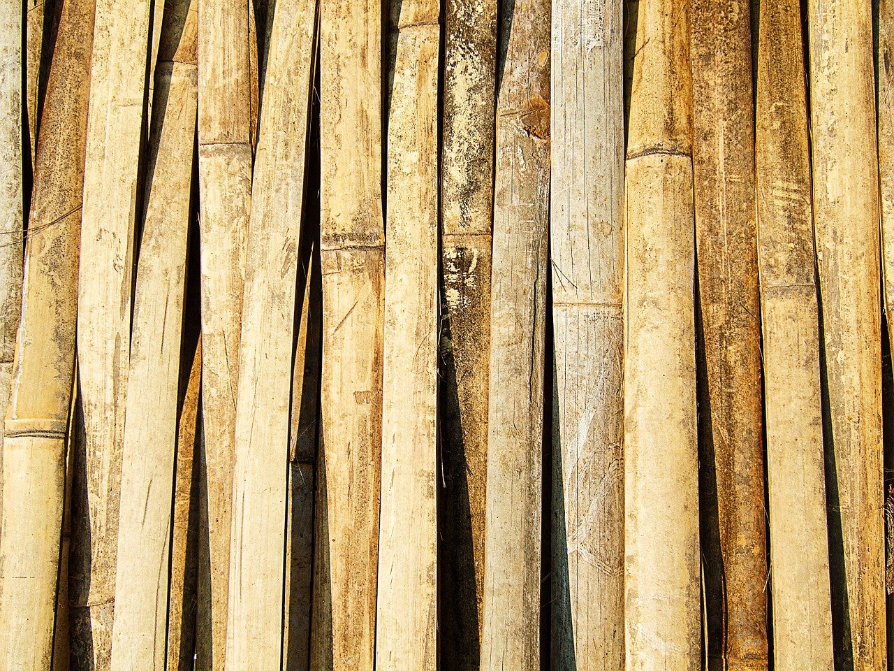 pengawetan-bambu-secara-lengkap.jpg