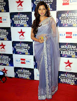 Bollywood and Tollywood singer Shreya, Ghoshal,Big Star Entertainment Awards 2012, hot sexy, sizzling, saree,