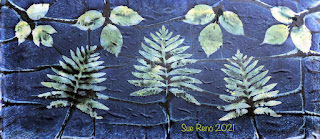 Sue Reno_wet cyanotype_image 921