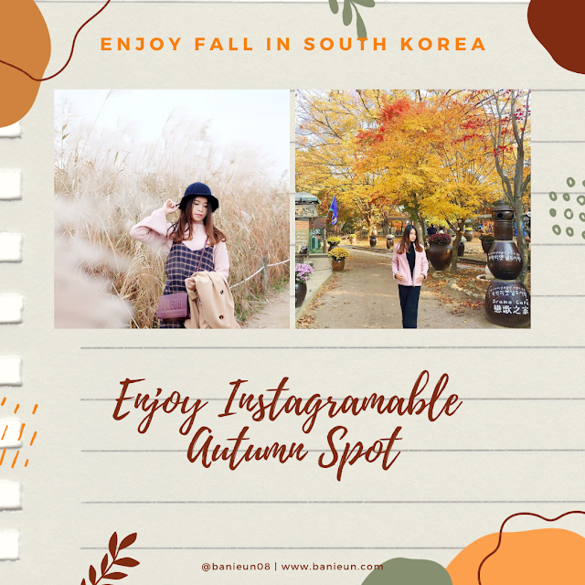 Korean Instagramable autumn spot