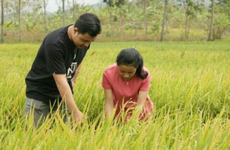 Ketika menyinggung masalah Gadis Desa tentu terbayang dalam benak Kita 10 Kelebihan Cewek Desa Dibanding Cewek Kota, Yakin Bikin Baper