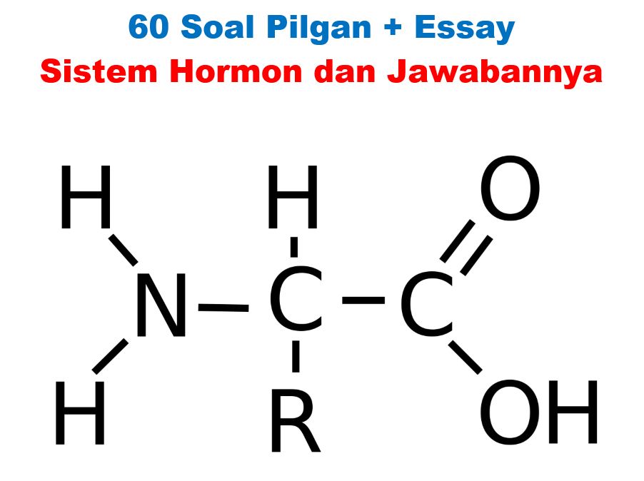 60 Soal Pilgan Essay Tentang Sistem Hormon Dan Jawabannya Muttaqin Id