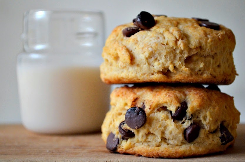 Vegan Chocolate Chip Cookie Biscuits - A combination of two major comfort foods, chocolate chip cookies and biscuits! These vegan biscuits are fluffy and sweet, and would make a fun addition to a cruelty free brunch menu. Click here for the recipe or pin for later <3 vegan biscuits, no milk vegan biscuits, vegan biscuits chocolate, vegan biscuits dough, vegan biscuits, easy vegan easter biscuits, vegan easter biscuits recipe, can vegans eat biscuits, best damn vegan biscuits ever, vegan biscuits from scratch, vegan biscuits fluffy, vegan biscuits m&s, vegan biscuits without butter, biscuits chocolate chips
