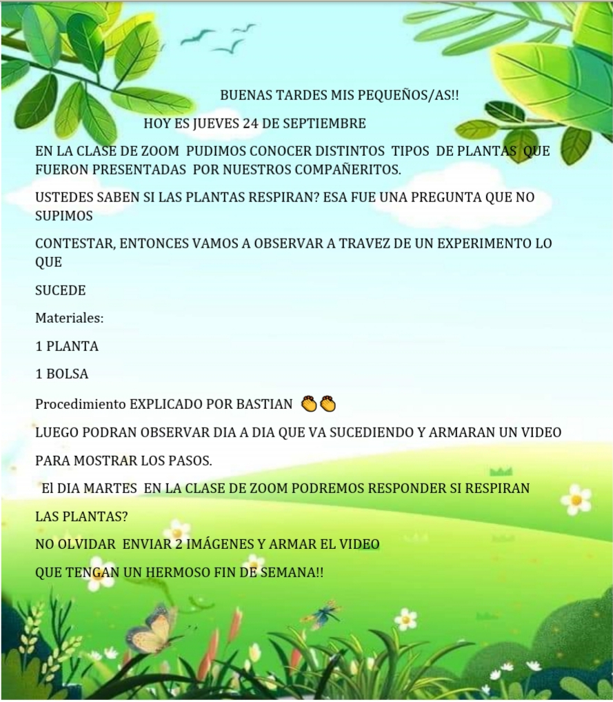 Sala 4 Las plantas respiran??