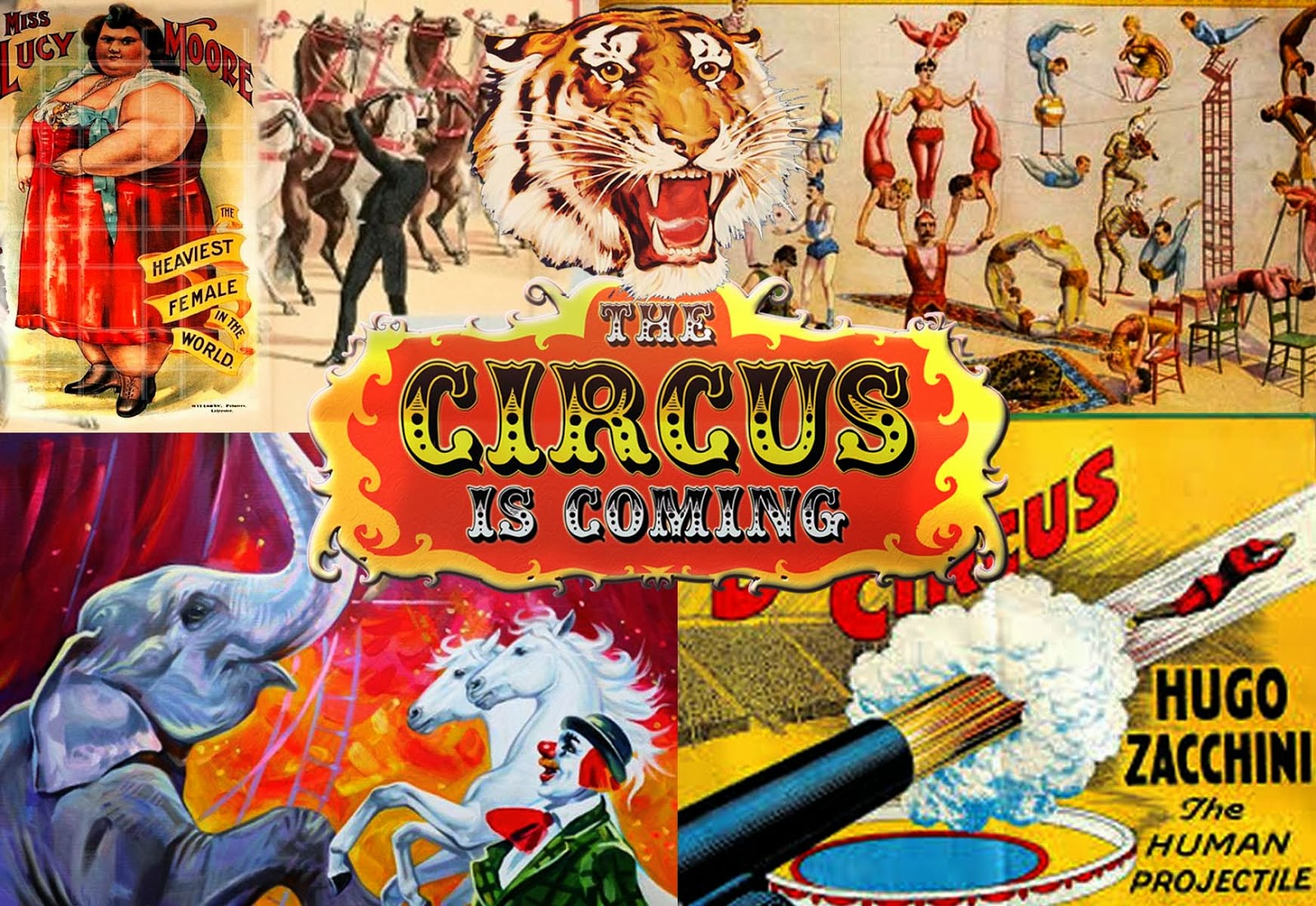 The difference of 25 Theme of November Circus