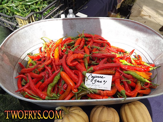 Two Frys Chile Pepper Festival 2014 Brooklyn Botanic Garden