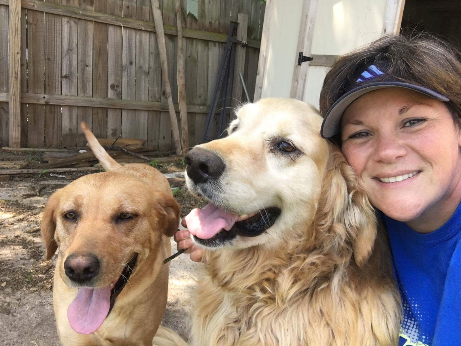 Cowley County Humane Society Blog Truly Wonderful