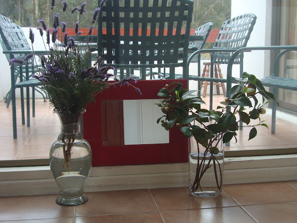 Lavanda & Camelia