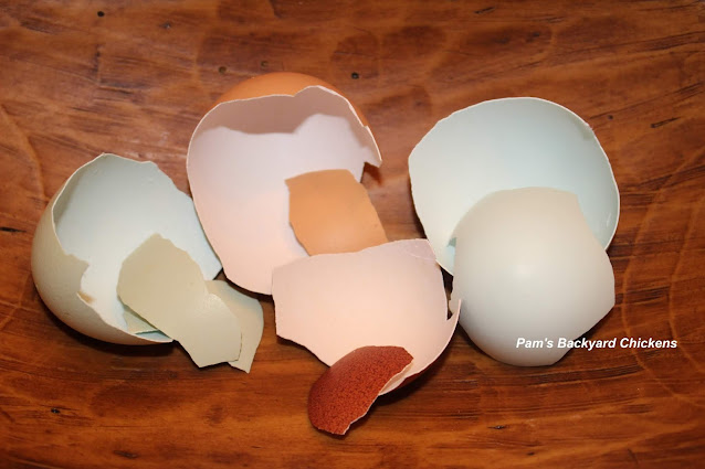 Do eggs with different colored shells taste different? No. Eggshell color has nothing to do with taste.