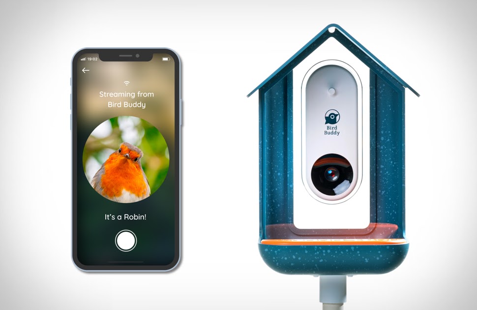 Kuş Besleyici Bird Buddy TeknOlsun