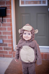 Now is he not the cutest grandmonkey you have ever seen?  Hudson Daniel at 19 months!