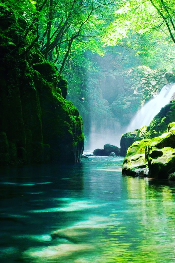 nature images hd wallpaper for mobile