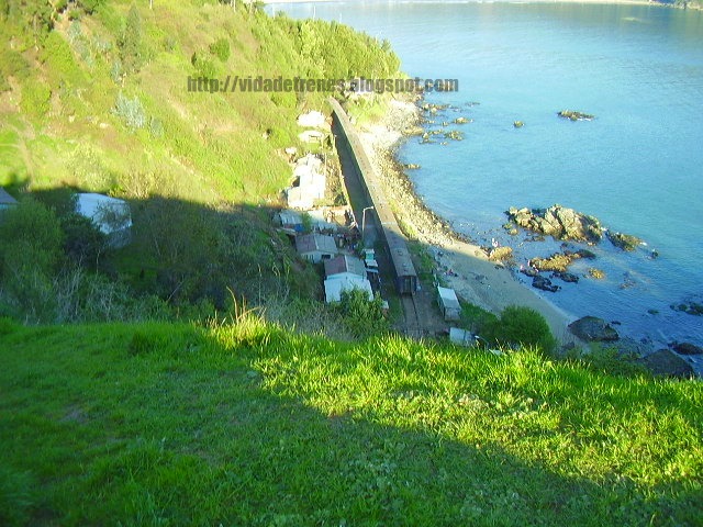 COLCURA_Tren desde el Fuerte de Colcura. Vida de Trenes