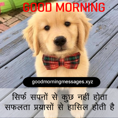 Cute Puppy Good Morning Pictures With Message In Hindi