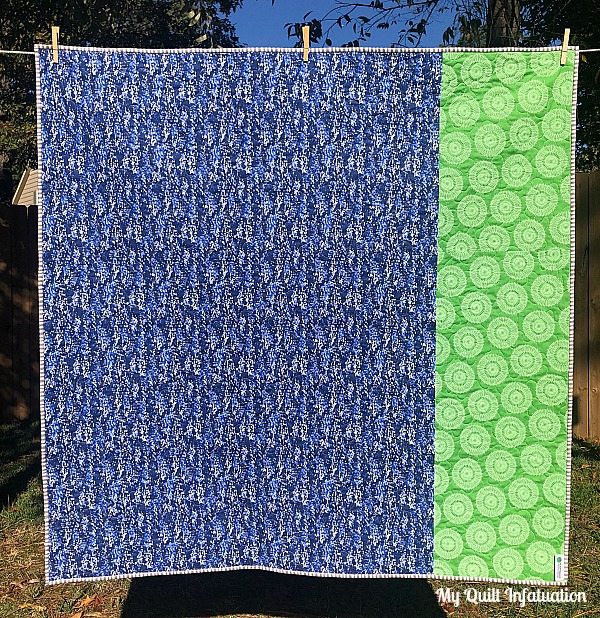 My Quilt Infatuation: Farm Picnic and NTT