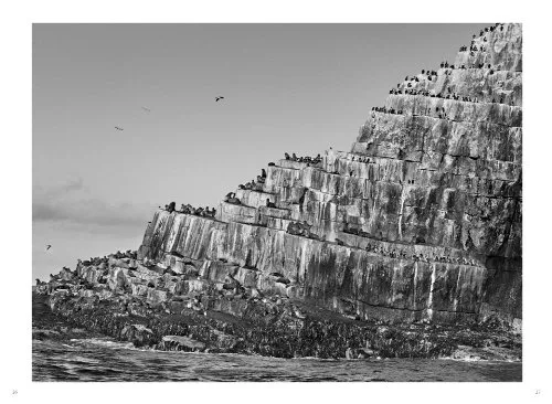 Livro Genesis, de Sebastião Salgado