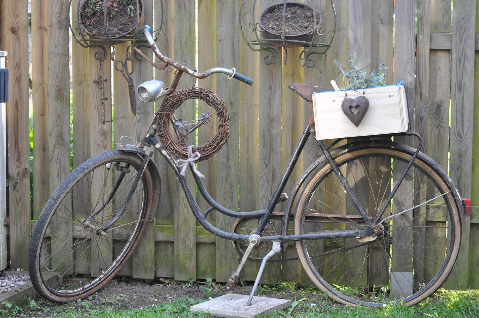 Lila Laune Traume Das Alte Fahrrad