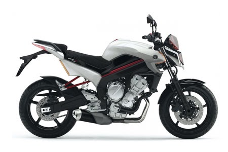 fz6 fender eliminator