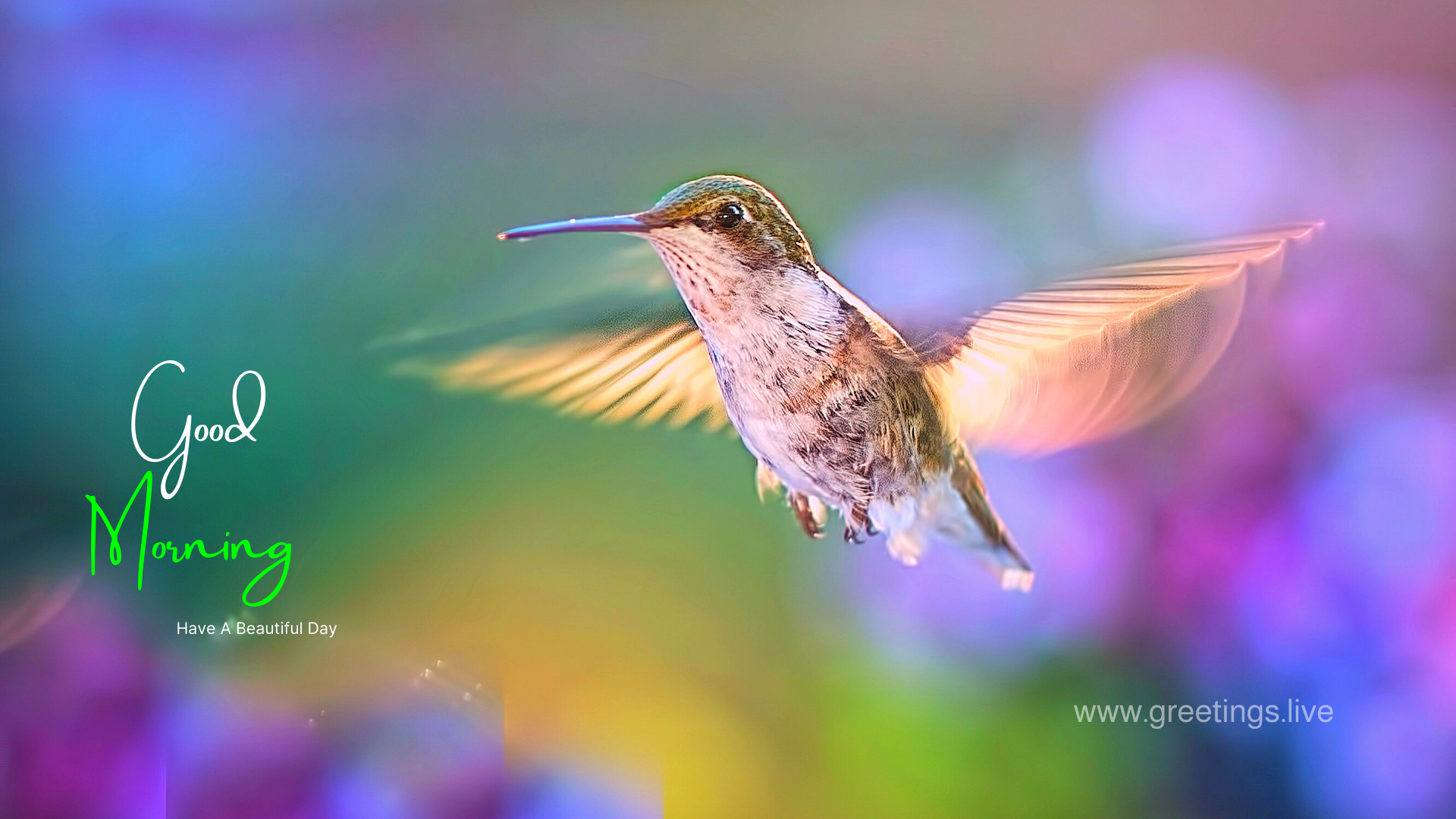 Good-morning-Wishes-hummingbird-flying-bg.png