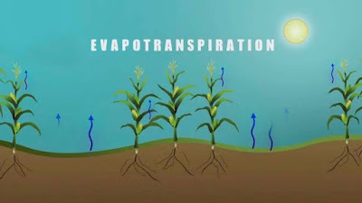Evapotranspiration ppt download free