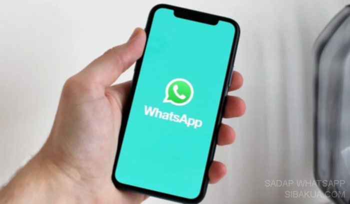 aplikasi sadap wa cara sadap wa orang lain