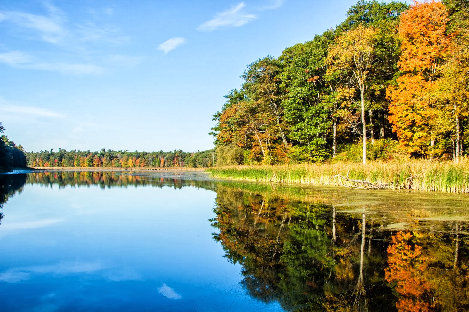 Autumn Colours, East Ontario