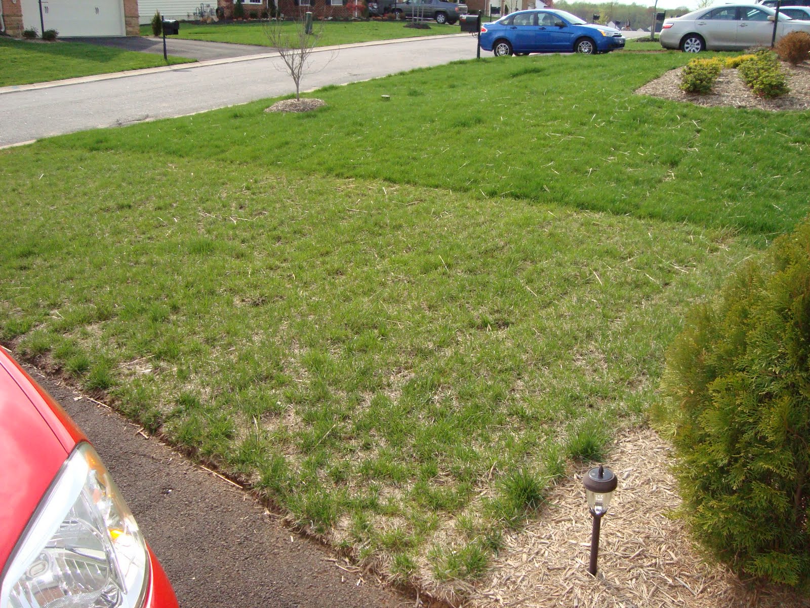 69th Street meets Harford Before & After TruGreen Update After 1.5 Weeks