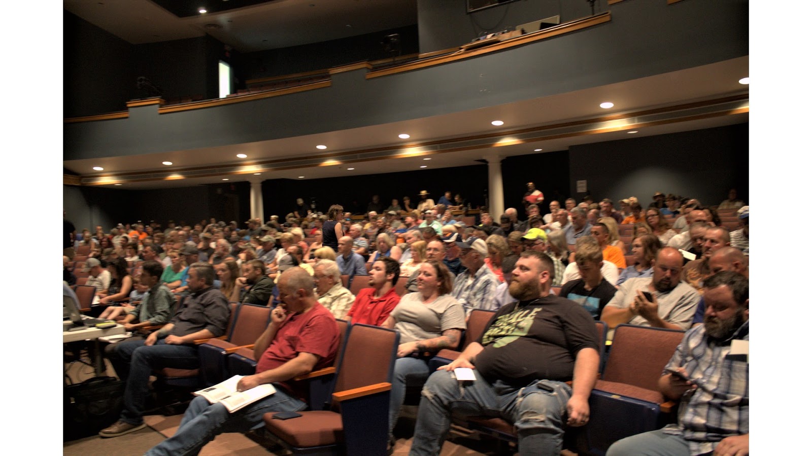 Wellsville Regional News (dot) com Steuben's real property auction