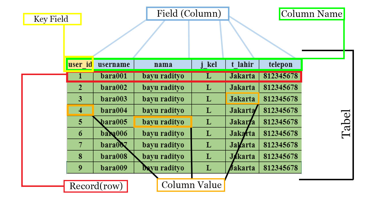 Struktur Database Mysql Memahami Struktur Database Tabel Dan Kolom ...