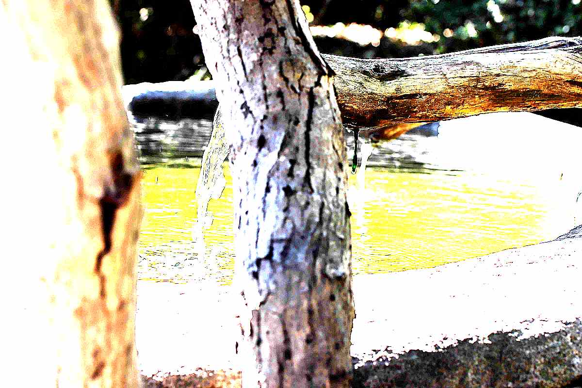 순천 조계산 선암사 순천 조계산 선암사