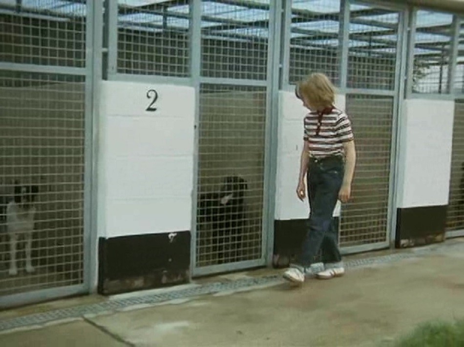 DIGBY O MAIOR CÃO DO MUNDO (LEGENDADO/DVD-RIP) – 1983 1%2B%255BLargura%2BM%25C3%25A1x%2B2400%2BAltura%2BM%25C3%25A1x%2B1800%255D