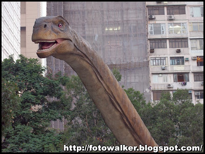「巨龍傳奇」展覽@香港科學館 ("Legends of the Giant Dinosaurs" exhibition@Hong Kong Science Museum)