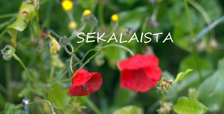 Sekalaista