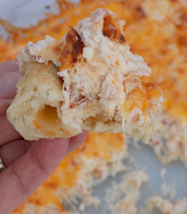 One Savvy Mom ™ NYC Area Mom Blog 10 Minute Hot Crab Dip + Grab Your 1 Off Cole’s MIDDLES