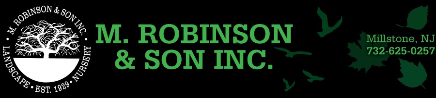 Landscape Design Services, Millstone and Spring Lake NJ | M. Robinson