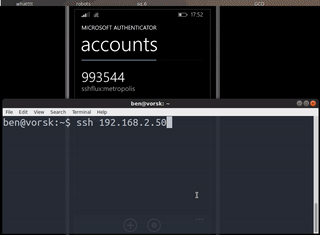 totp-ssh-fluxer o cómo tener un servidor SSH cuyo puerto a la escucha