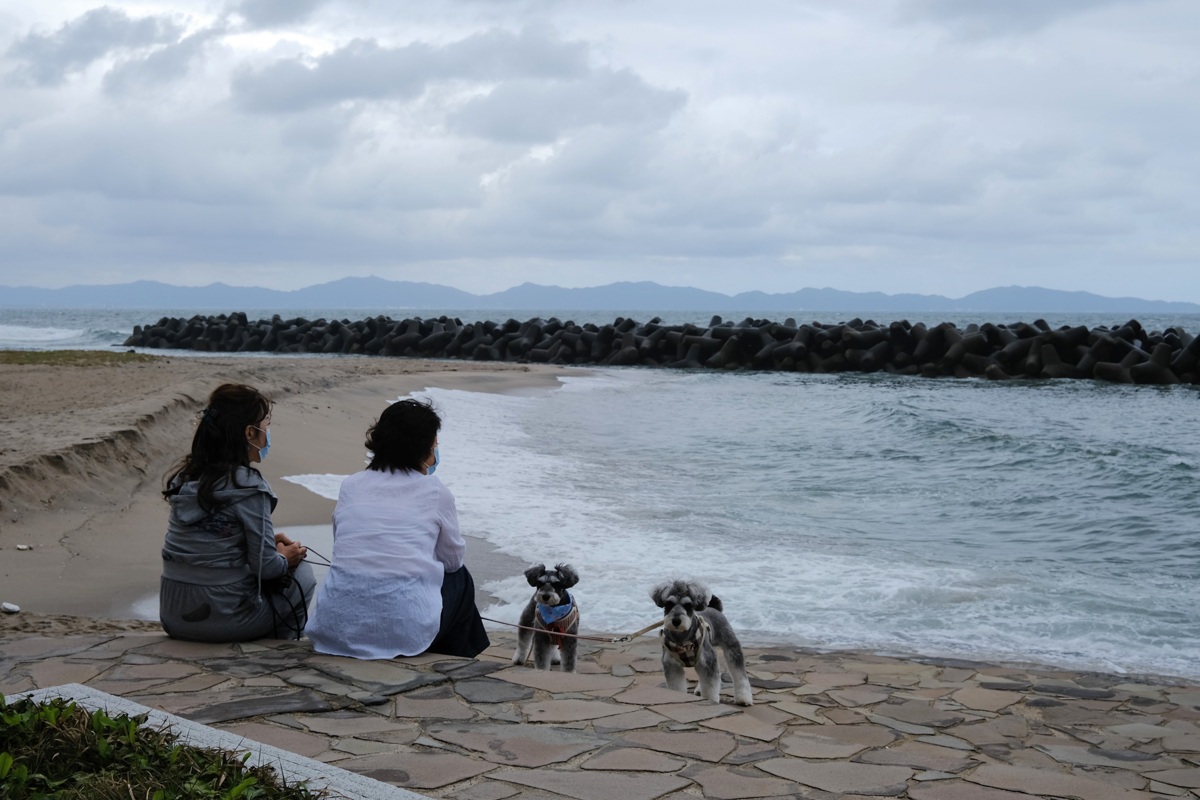 DSCF0954.JPG