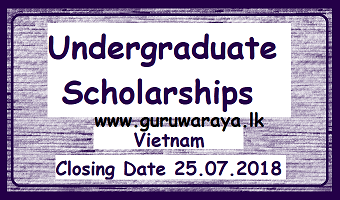 Scholarship : Undergraduate  (Vietnam)