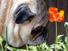 In Our Hearts Forever